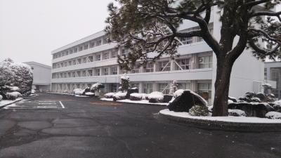 ２月８日12時ごろの様子